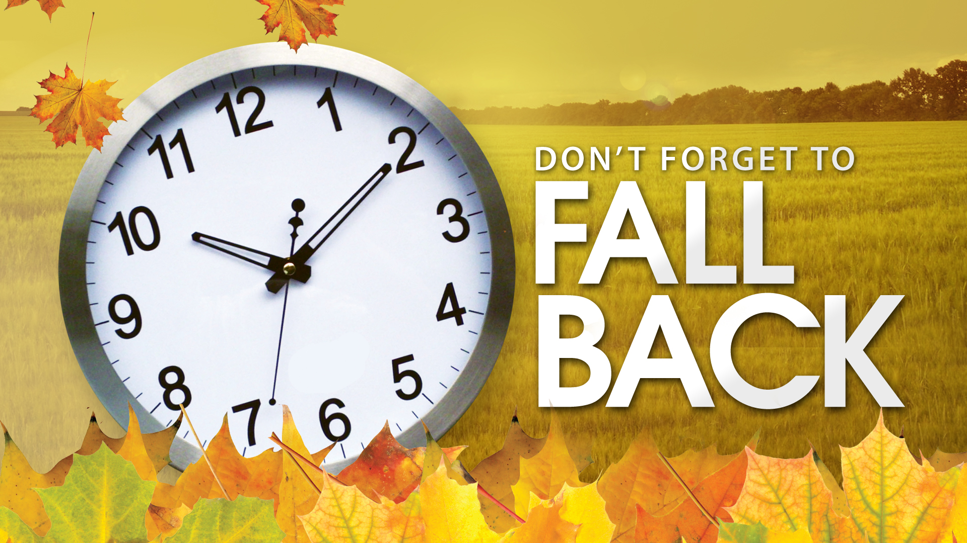 Dont Forget to Fall Back!: Daylight Savings Time Ends Sunday, Nov. 2