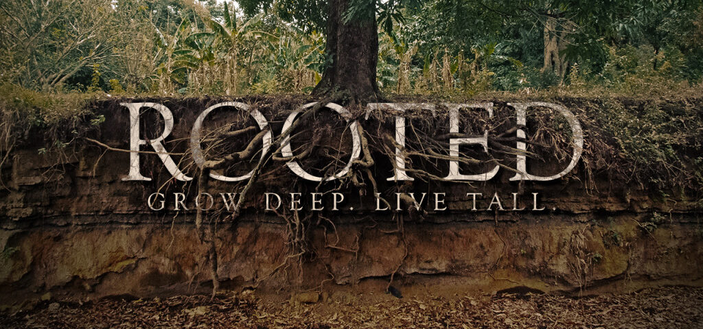 Tree roots with "Rooted" text overlay.