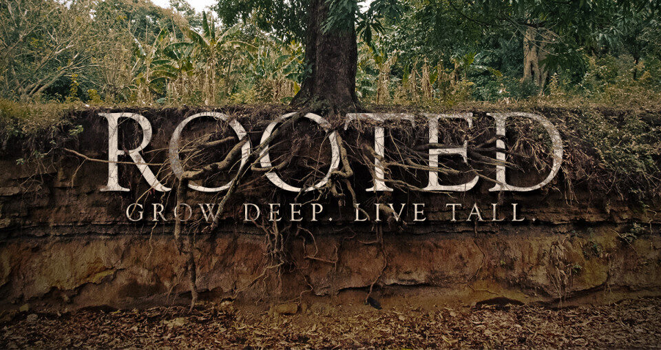 Tree roots with "Rooted" text overlay.