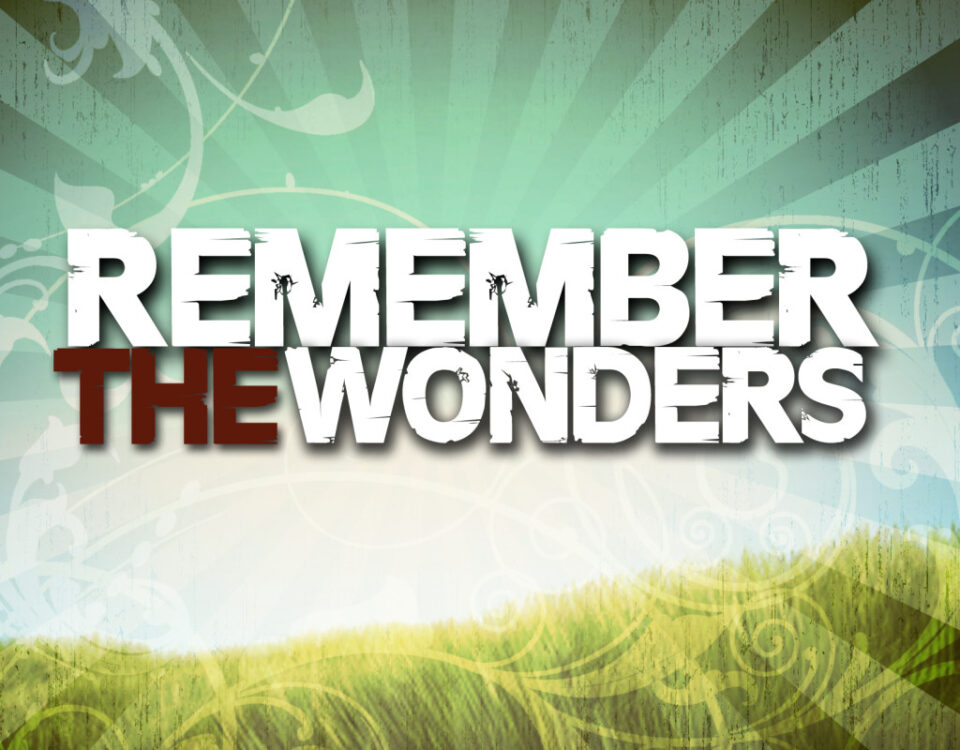 Remember the Wonders" text over grassy field.
