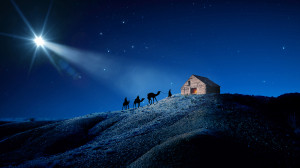 Three camels approaching a barn under star.