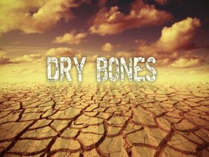 Cracked desert ground under cloudy sky.