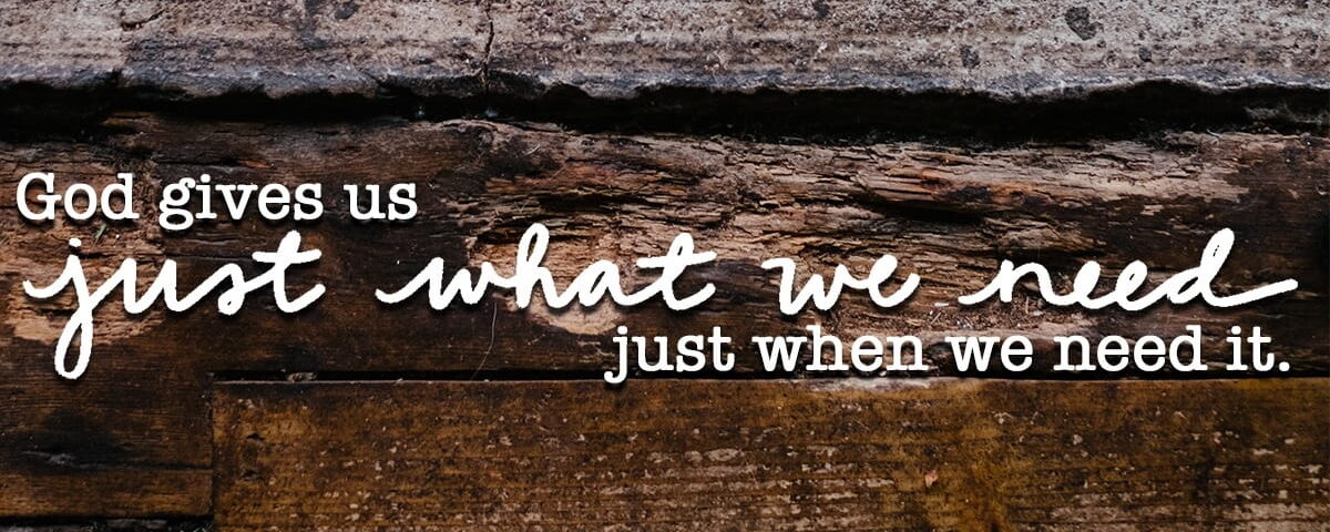 Inspirational quote about gratitude on a rustic wooden background.