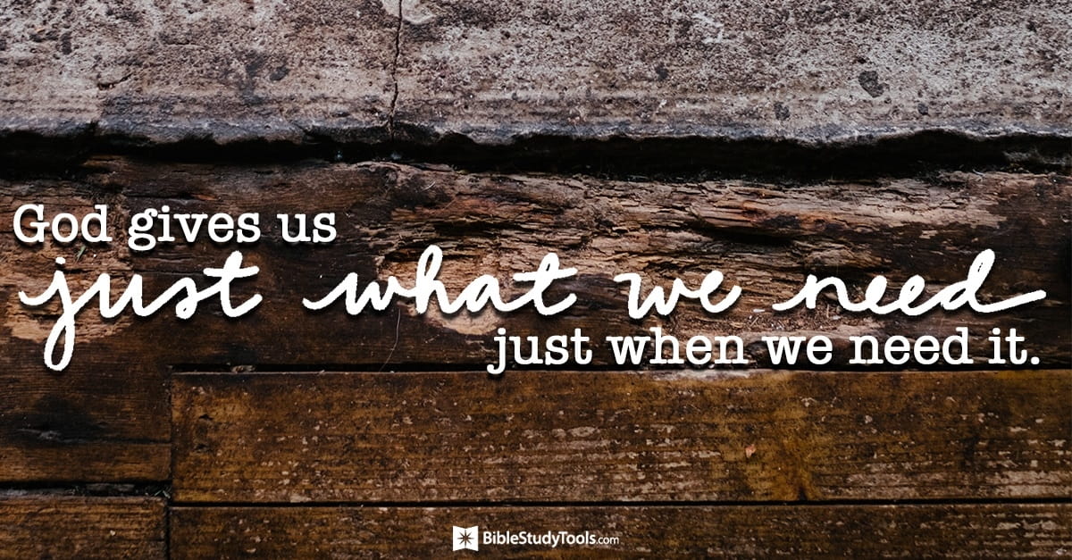 Inspirational quote about gratitude on a rustic wooden background.